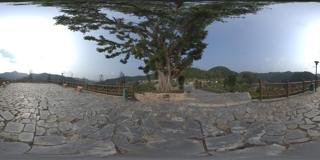 pano (14)